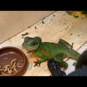 Meet your Posher, Jason